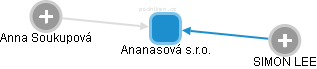 Ananasová s.r.o. - náhled vizuálního zobrazení vztahů obchodního rejstříku