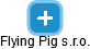Flying Pig s.r.o. - náhled vizuálního zobrazení vztahů obchodního rejstříku