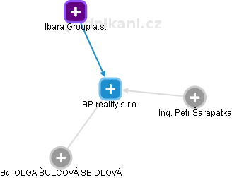 BP reality s.r.o. - náhled vizuálního zobrazení vztahů obchodního rejstříku