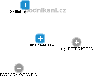 Skillful trade s.r.o. - náhled vizuálního zobrazení vztahů obchodního rejstříku