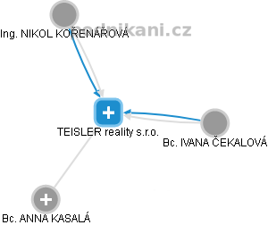 TEISLER reality s.r.o. - náhled vizuálního zobrazení vztahů obchodního rejstříku