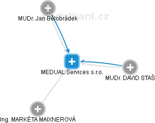 MEDUAL Services s.r.o. - náhled vizuálního zobrazení vztahů obchodního rejstříku