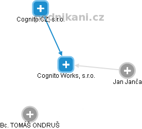 Cognito Works, s.r.o. - náhled vizuálního zobrazení vztahů obchodního rejstříku