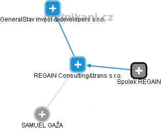 REGAIN Consulting&trans s.r.o. - náhled vizuálního zobrazení vztahů obchodního rejstříku