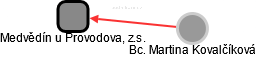 Medvědín u Provodova, z.s. - náhled vizuálního zobrazení vztahů obchodního rejstříku