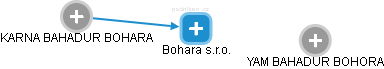 Bohara s.r.o. - náhled vizuálního zobrazení vztahů obchodního rejstříku