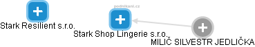 Stark Shop Lingerie s.r.o. - náhled vizuálního zobrazení vztahů obchodního rejstříku