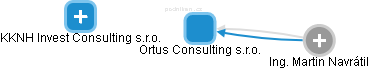 Ortus Consulting s.r.o. - náhled vizuálního zobrazení vztahů obchodního rejstříku