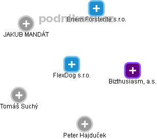 FlexDog s.r.o. - náhled vizuálního zobrazení vztahů obchodního rejstříku