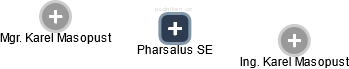 Pharsalus SE - náhled vizuálního zobrazení vztahů obchodního rejstříku