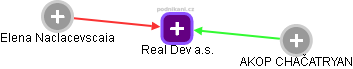 Real Dev a.s. - náhled vizuálního zobrazení vztahů obchodního rejstříku