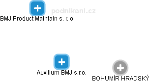Auxilium BMJ s.r.o. - náhled vizuálního zobrazení vztahů obchodního rejstříku