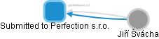 Submitted to Perfection s.r.o. - náhled vizuálního zobrazení vztahů obchodního rejstříku