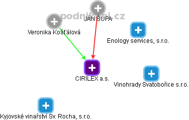 CIRILEX a.s. - náhled vizuálního zobrazení vztahů obchodního rejstříku