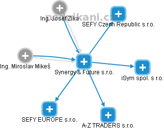 Synergy & Future s.r.o. - náhled vizuálního zobrazení vztahů obchodního rejstříku