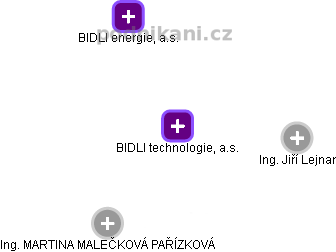 BIDLI technologie, a.s. - náhled vizuálního zobrazení vztahů obchodního rejstříku