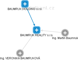 BAUMRUK REALITY s.r.o. - náhled vizuálního zobrazení vztahů obchodního rejstříku