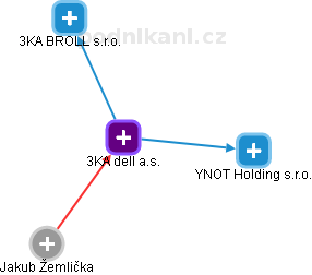 3KA dell a.s. - náhled vizuálního zobrazení vztahů obchodního rejstříku
