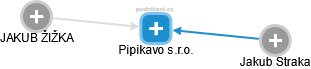Pipikavo s.r.o. - náhled vizuálního zobrazení vztahů obchodního rejstříku
