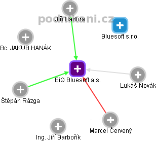 BiQ Bluesoft a.s. - náhled vizuálního zobrazení vztahů obchodního rejstříku
