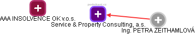 Service & Property Consulting, a.s. - náhled vizuálního zobrazení vztahů obchodního rejstříku