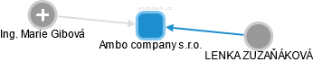 Ambo company s.r.o. - náhled vizuálního zobrazení vztahů obchodního rejstříku