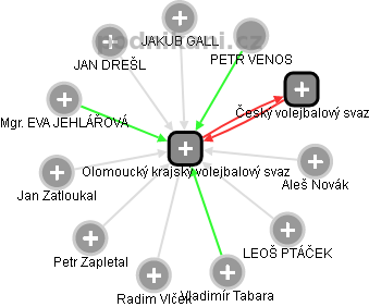 Olomoucký krajský volejbalový svaz - náhled vizuálního zobrazení vztahů obchodního rejstříku