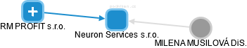 Neuron Services s.r.o. - náhled vizuálního zobrazení vztahů obchodního rejstříku