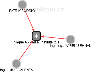 Prague Appraisal Institute, z. s. - náhled vizuálního zobrazení vztahů obchodního rejstříku