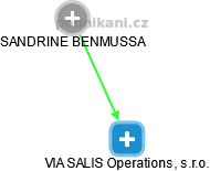 VIA SALIS Operations, s.r.o. - náhled vizuálního zobrazení vztahů obchodního rejstříku