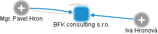 BFK consulting s.r.o. - náhled vizuálního zobrazení vztahů obchodního rejstříku