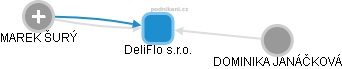 DeliFlo s.r.o. - náhled vizuálního zobrazení vztahů obchodního rejstříku