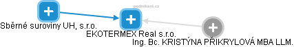 EKOTERMEX Real s.r.o. - náhled vizuálního zobrazení vztahů obchodního rejstříku