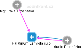 Palatinum Lambda s.r.o. - náhled vizuálního zobrazení vztahů obchodního rejstříku