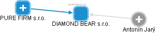 DIAMOND BEAR s.r.o. - náhled vizuálního zobrazení vztahů obchodního rejstříku