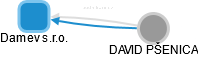 Damev s.r.o. - náhled vizuálního zobrazení vztahů obchodního rejstříku