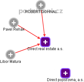 Direct real estate a.s. - náhled vizuálního zobrazení vztahů obchodního rejstříku
