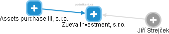Zueva Investment, s.r.o. - náhled vizuálního zobrazení vztahů obchodního rejstříku