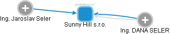 Sunny Hill s.r.o. - náhled vizuálního zobrazení vztahů obchodního rejstříku