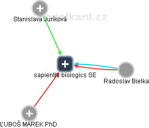 sapientis biologics SE - náhled vizuálního zobrazení vztahů obchodního rejstříku