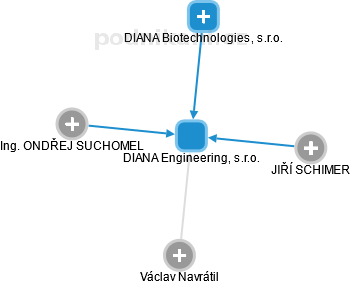 DIANA Engineering, s.r.o. - náhled vizuálního zobrazení vztahů obchodního rejstříku