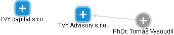 TVY Advisory s.r.o. - náhled vizuálního zobrazení vztahů obchodního rejstříku