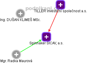 Spinnaker SICAV, a.s. - náhled vizuálního zobrazení vztahů obchodního rejstříku