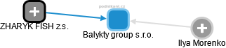Balykty group s.r.o. - náhled vizuálního zobrazení vztahů obchodního rejstříku
