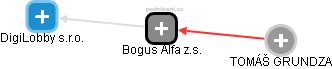 Bogus Alfa z.s. - náhled vizuálního zobrazení vztahů obchodního rejstříku