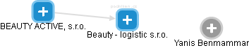 Beauty - logistic s.r.o. - náhled vizuálního zobrazení vztahů obchodního rejstříku