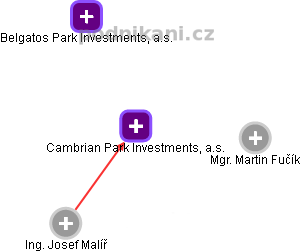 Cambrian Park Investments, a.s. - náhled vizuálního zobrazení vztahů obchodního rejstříku