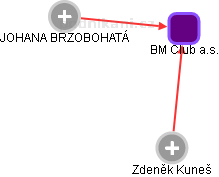 BM Club a.s. - náhled vizuálního zobrazení vztahů obchodního rejstříku