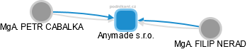 Anymade s.r.o. - náhled vizuálního zobrazení vztahů obchodního rejstříku
