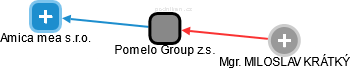 Pomelo Group z.s. - náhled vizuálního zobrazení vztahů obchodního rejstříku